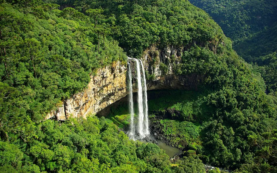 Natureza em Canela